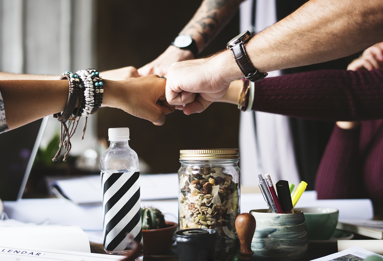 action, collaborate, collaboration-2277292.jpg